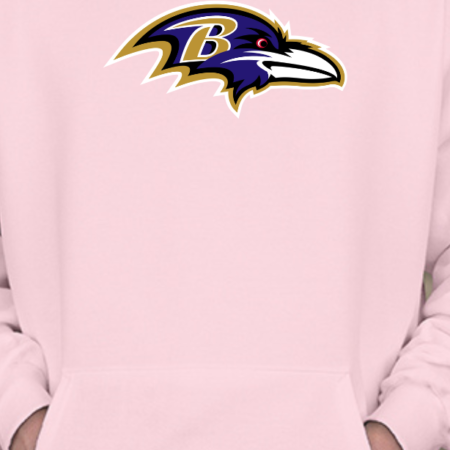 Baltimore Football Raven Logo Inspired Unisex Pullover Hoodie